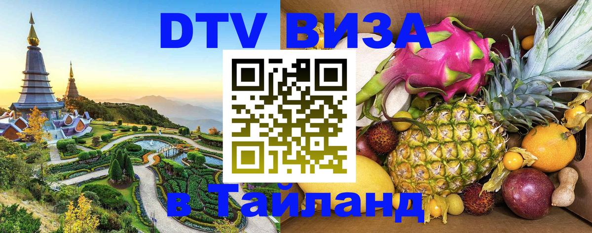 Как сделать DTV визу в Тайланд Владимир 